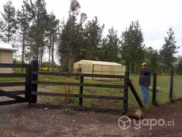 Terreno 5000m2 perquenco Lautaro