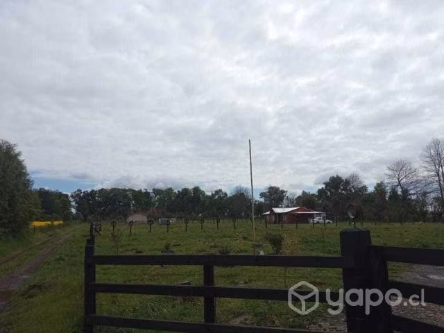 Terreno 5000m2 perquenco Lautaro