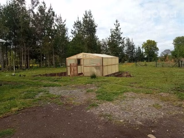 Terreno 5000m2 perquenco Lautaro