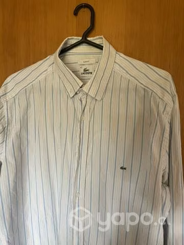 Camisa Lacoste original