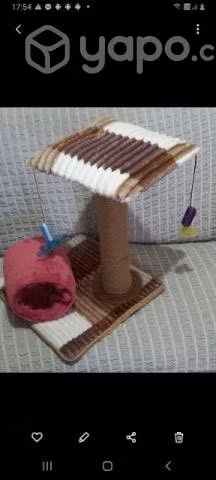 Rascadores para Gatito