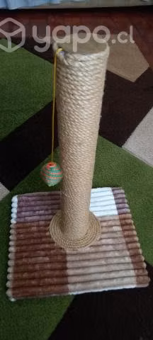 Rascadores para Gatito