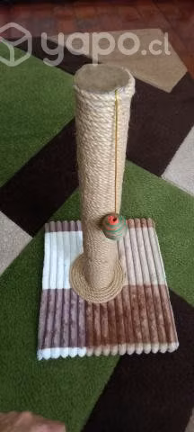 Rascadores para Gatito