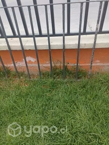Rejas 80 alto x 23 ancho