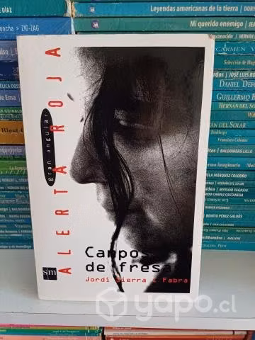 Campo de Fresas