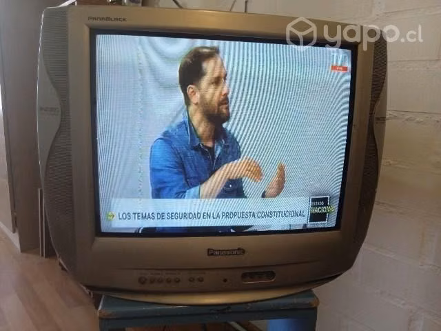 Televisor Panasonic 21" - Imagen 2