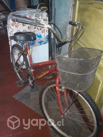 Bicicletas de mujer y hombre - Imagen 2