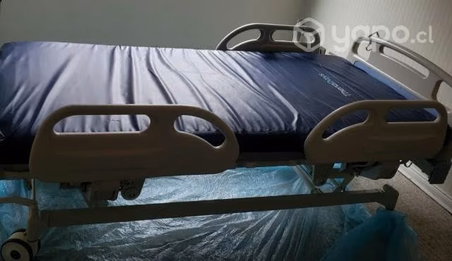 Cama
