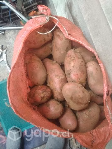 Papas nuevas