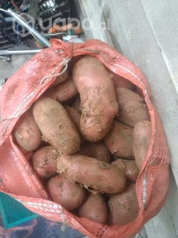Papas nuevas