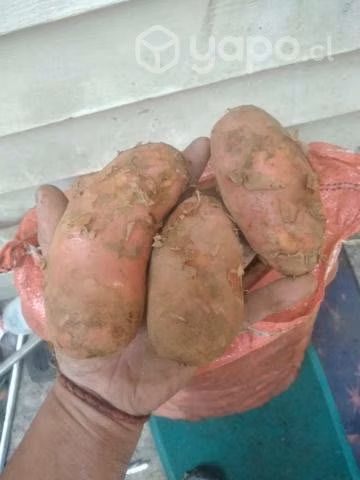 Papas nuevas