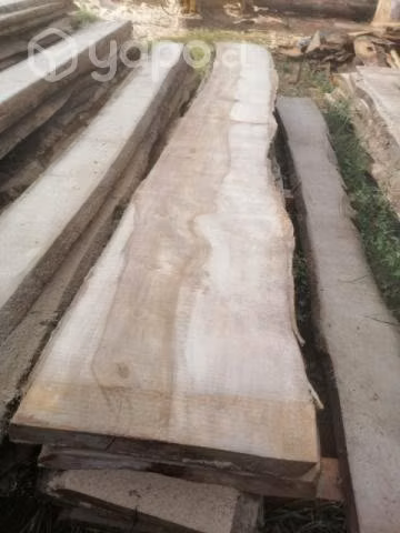 Cubiertas de laurel
