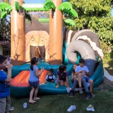 Castillo Inflable Selva