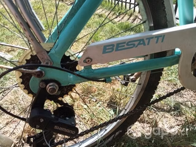 Bicicleta de paseo