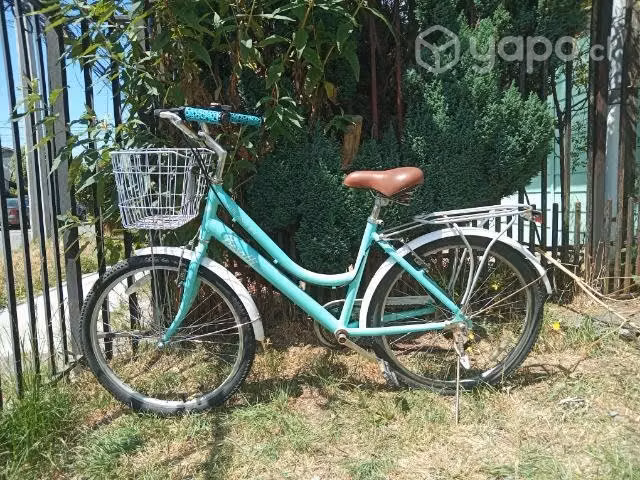 Bicicleta de paseo