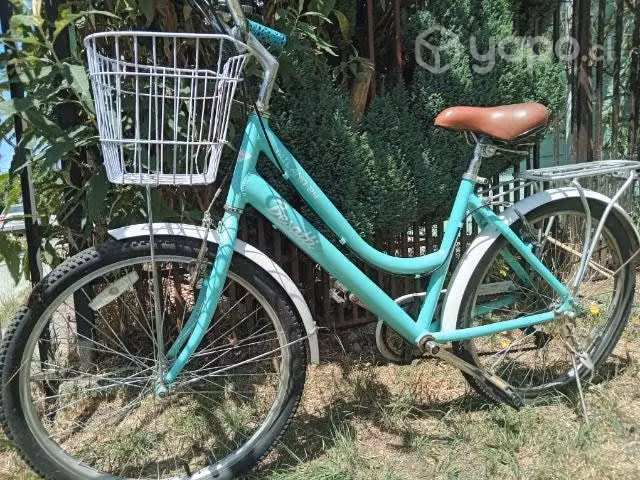 Bicicleta de paseo
