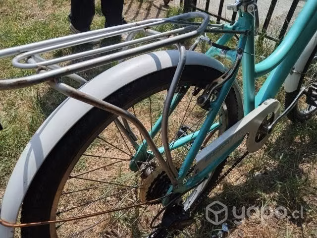 Bicicleta de paseo
