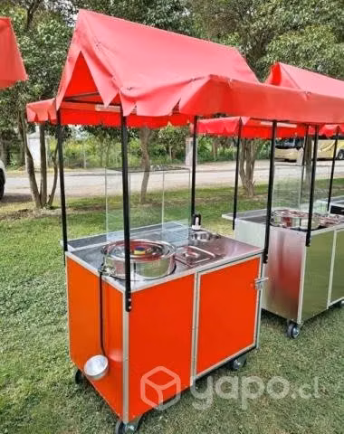 Carro para mote casi nuevo