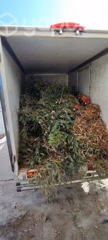 Servicio de jardinería