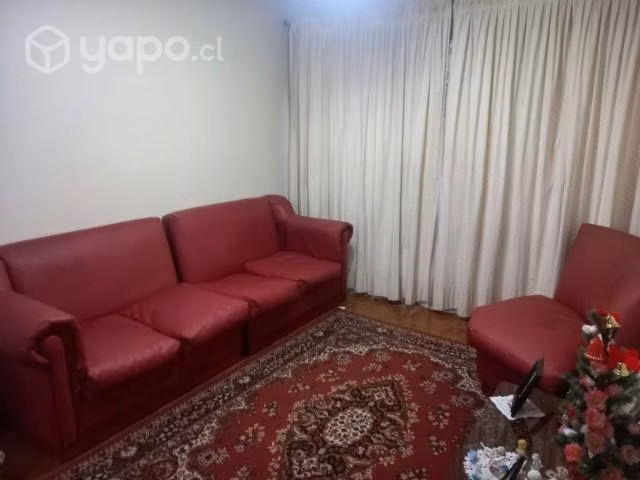 living eco cuero