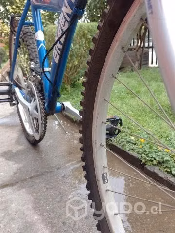 Bicicleta