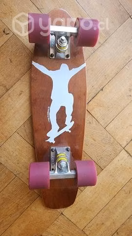 Tabla Penny Ridge skateboards importada