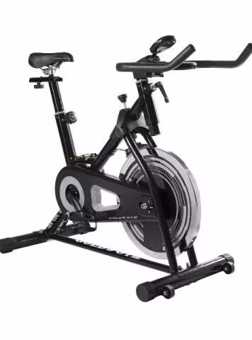 Bicicleta spinning Golds Gym GGSpin100