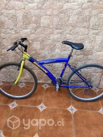 Bicicleta