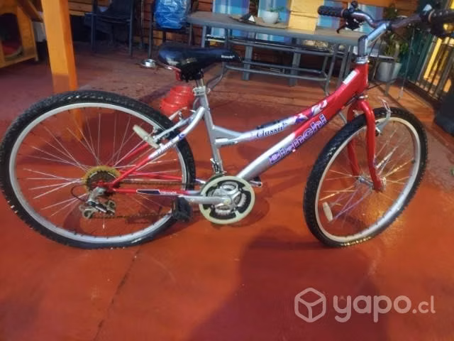 Bicicleta Bianchi