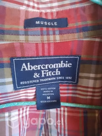 Camisa Abercrombie & Fitch - Imagen 3
