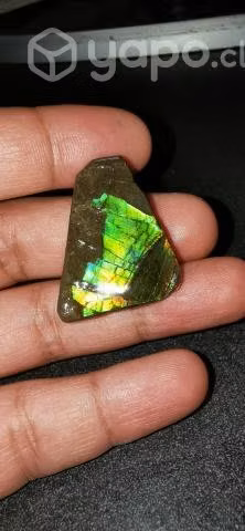 Amolite
