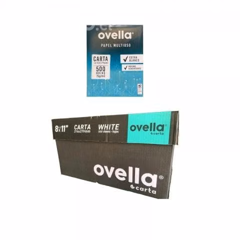 Resma carta caja por 10 unidades