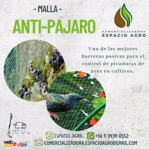 Malla antipajaro