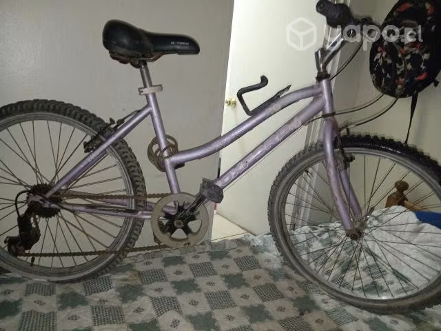 Bicicletas con mantenimiento