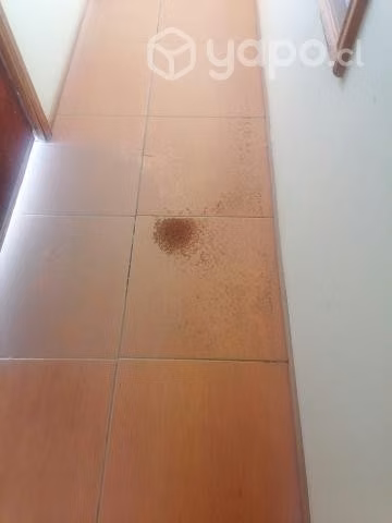 Mantensiones y control de plagas