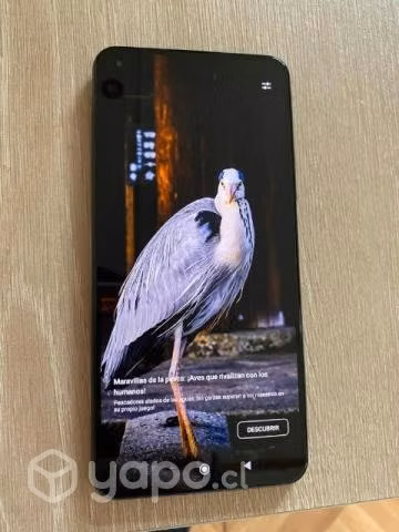 Xiaomi 11 lite 5G NE