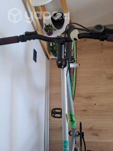 Bicicleta talla 52