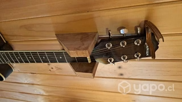 Electroacustica freeman