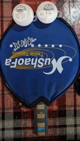 Paleta de tenis de mesa profesional joola