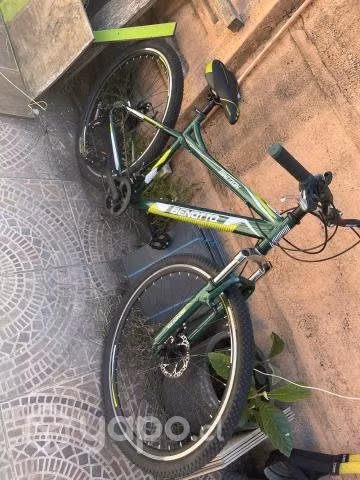 Bicicleta