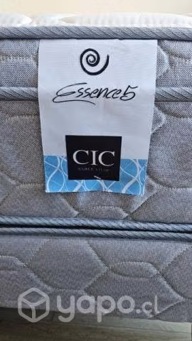 Cama