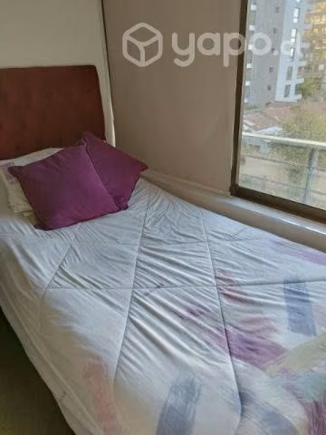 Cama europea de plaza y media,