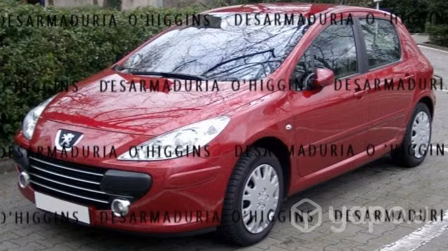 Portalón Peugeot 207 2008