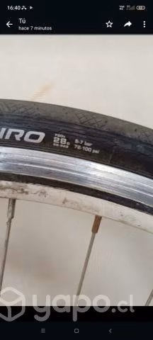 Bicicleta rutera