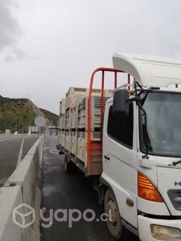 Hino Fc 1118