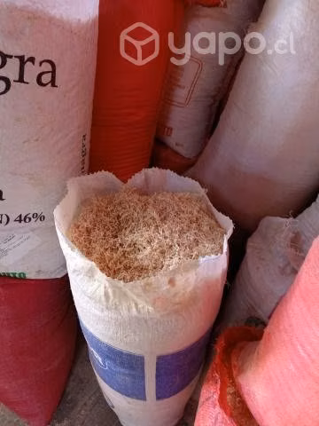 Aserrin y virurta seca - regalo