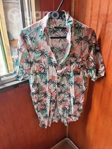 Camisas veraniegas - Imagen 4