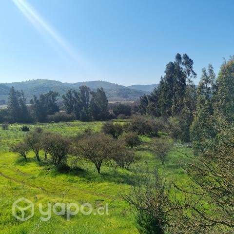 Se vende parcela de 1.87 hectáreas - Imagen 3