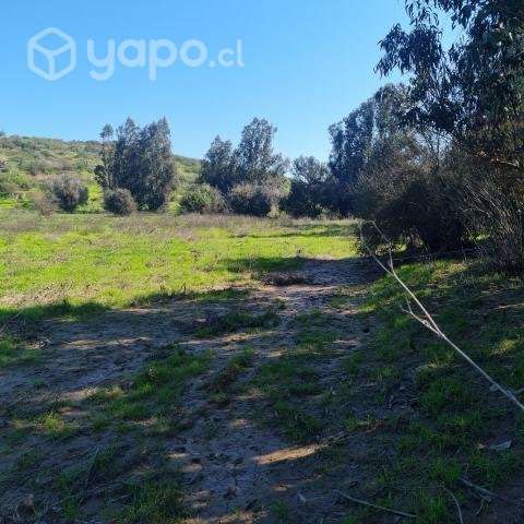 Se vende parcela de 1.87 hectáreas - Imagen 2