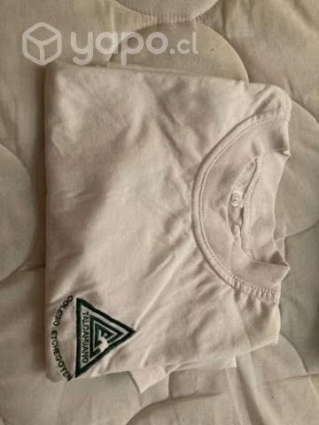 Buzo más polera Colegio Etchegoyen
